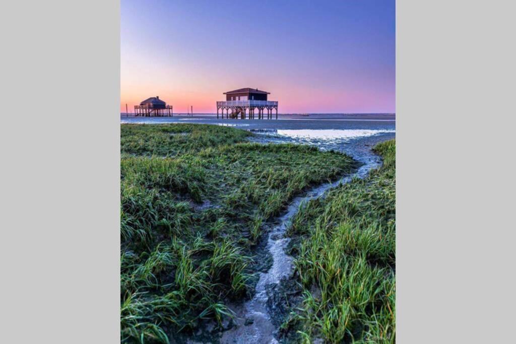 Colibri Appart' T2 Au Coeur Du Bassin D'Arcachon 居让梅斯特拉 外观 照片